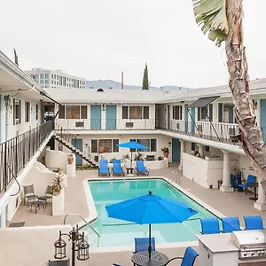 Hotel 2021 Olive